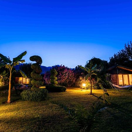 Etenna Beach Bungalows Cirali Exterior photo